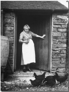 apron, chickens, farm, farm wife, pioneer